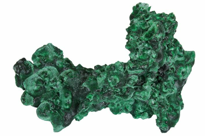 Silky Fibrous Malachite Cluster - Congo #150453